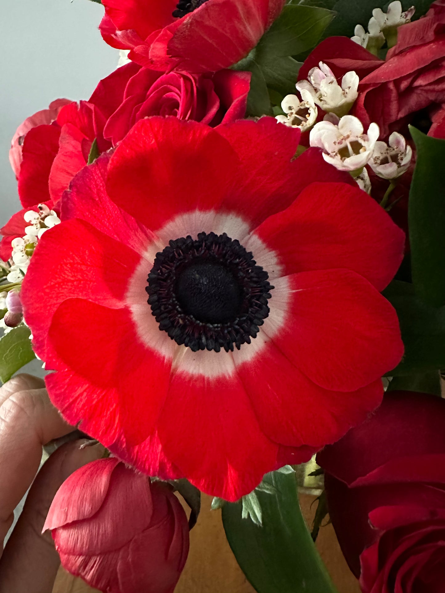 Designers Choice image 0